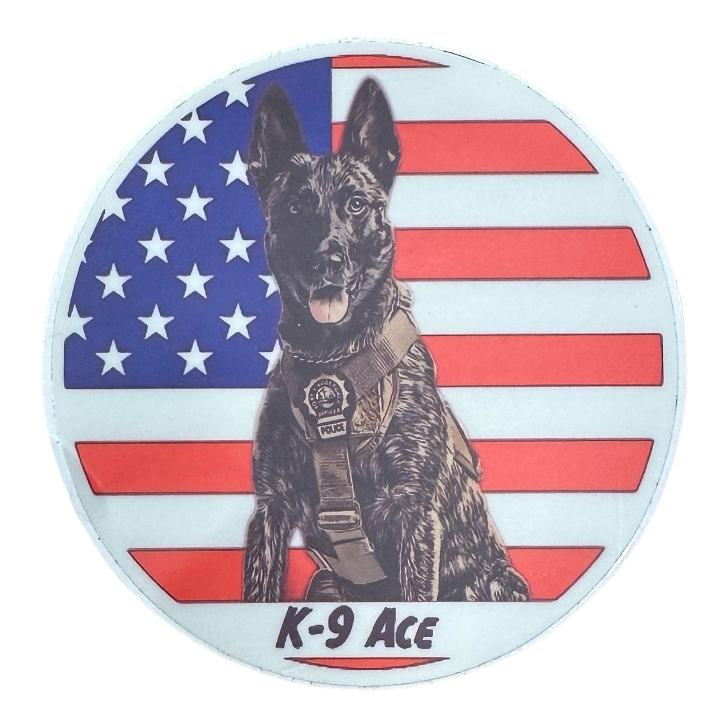 Ace USA Round Sticker